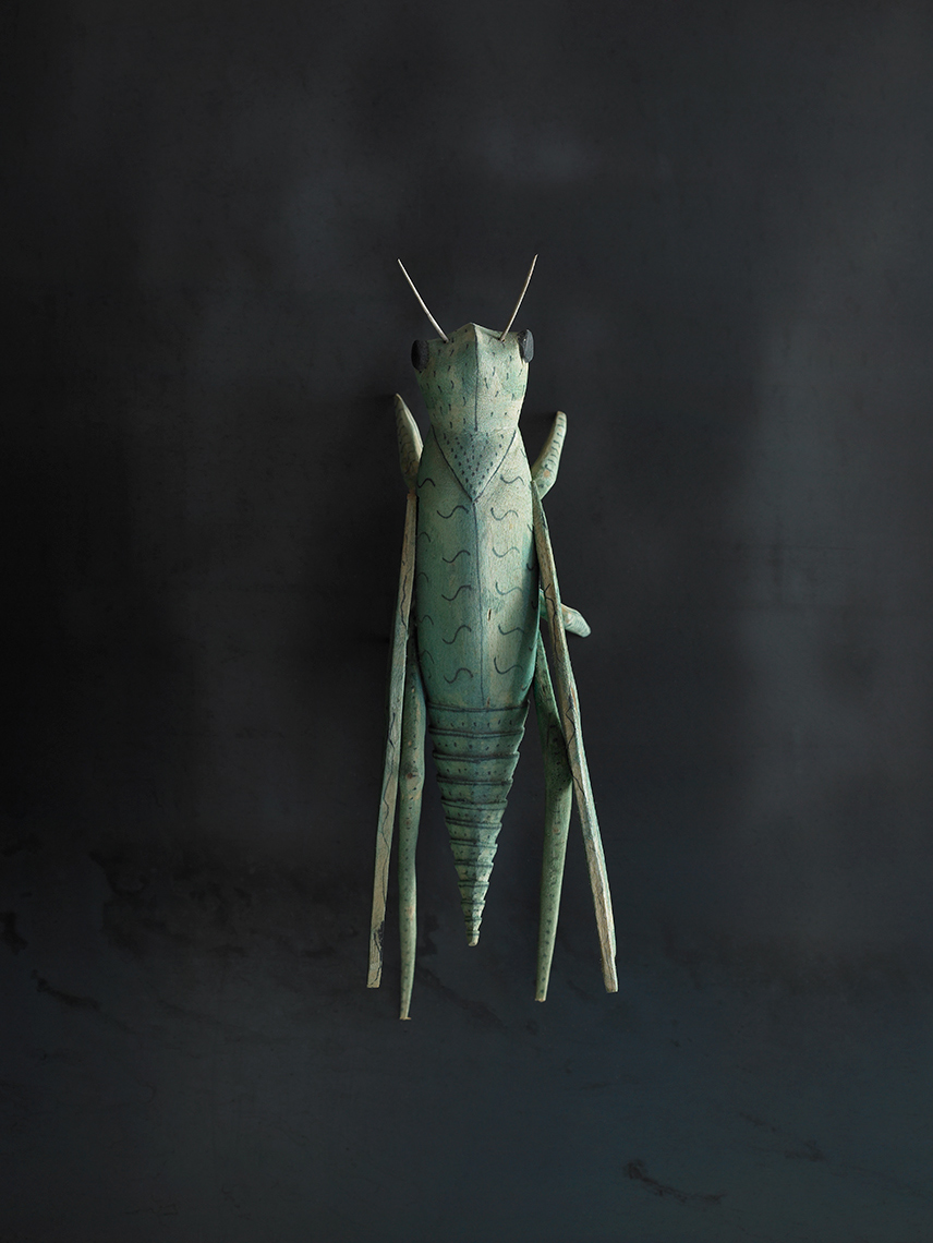 grasshopper-2017